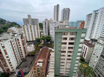 Apartamento à venda, 2 quartos, 1 vaga, José Menino - Santos/SP