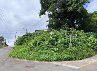 Terreno à venda, 647 m² por R$ 349.000,00 - Vista Alegre - Curitiba/PR