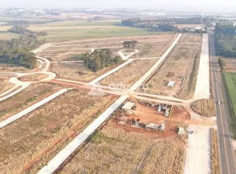 Terreno à venda no Residencial Monte Hermon, com 270m². Cará-cará, Ponta Grossa, PR