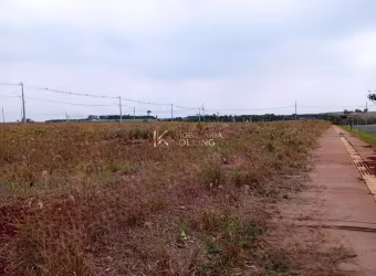 TERRENO À VENDA LOCALIZADO EM NOVO SOBRADINHO, TOLEDO - PR
