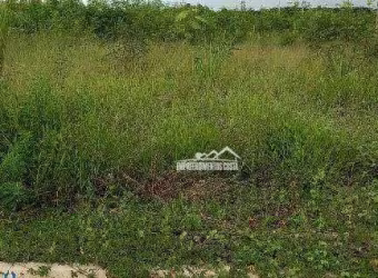 Terreno à venda, 175 m² por R$ 130.000,00 - Jardim Novo  São Pedro - Salto/SP