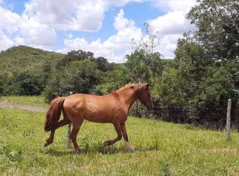 Fazenda Planaltina-DF 61 Hectares !!! 2.200.000 !!!