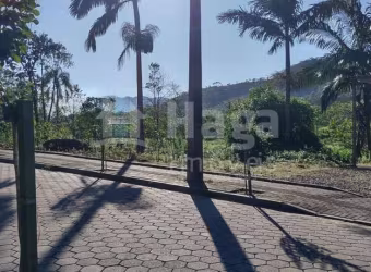 Terreno amplo à venda no bairro Lageado Baixo em Guabiruba/SC