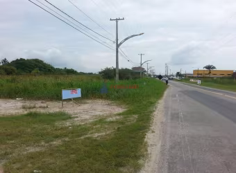Lotes comerciais frente rodovia Pontal do Sul