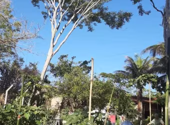 Chácara para Venda em Presidente Prudente, CHACARA PARAISO, 2 dormitórios, 2 banheiros, 3 vagas
