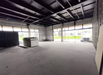 Sala comercial para alugar na Avenida Aleixo Alves de Souza, 1453, Nova Palhoça, Palhoça, 100 m2 por R$ 7.500
