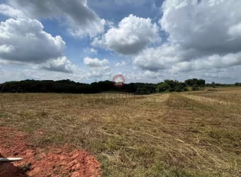 Chácara para Venda em Araucária, Lagoa Suja