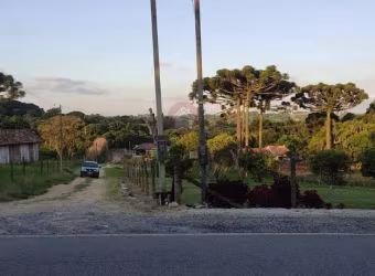 Chácara para Venda em Araucária, Rio Abaixinho