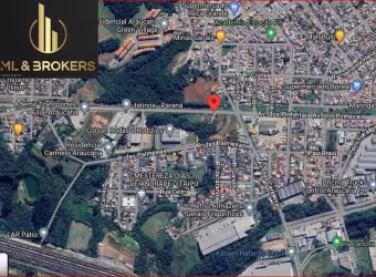 Imóvel Comercial para Venda no bairro Fazenda Velha em Araucária, 4100 m² de área total, 4100 m² privativos,