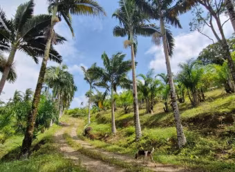 Sítio / Chácara para Venda no bairro COLONIA QUINTILHA em PARANAGUA, Sem Mobília, 160000 m² de área total, 160000 m² privativos,