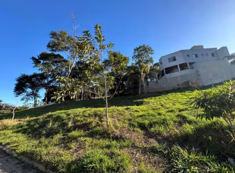 Lote / Terreno - Salvaterra