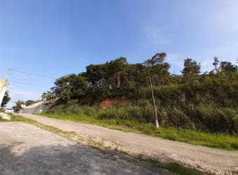 OPORTUNIDADE LOTE PRÓXIMO RODOVIA