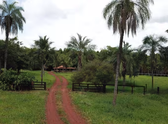 Fazenda  Dupla Aptidao em Campinapolis Mato Grosso