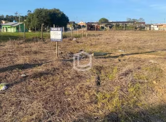 Terreno à venda no bairro Buenos Aires - Criciúma/SC