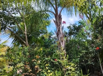 Sítio à venda 2 Quartos, 1 Suite, 700M², são jose de almeida, Jaboticatubas - MG
