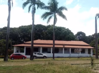 Chácara - Estrada da Coluna