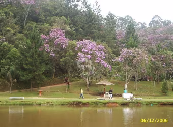 Pesqueiro para Venda em Itapecerica da Serra / SP no bairro Potuverá