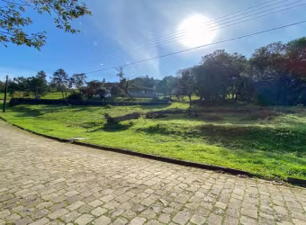 Terreno em condomínio fechado à venda na Estrada Municipal Vereador Vicente Menezes, 2350, Linha 40, Caxias do Sul por R$ 868.300