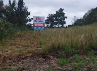Terreno à venda na Rua Julia De Carli Paglioli, 03, São Luiz, Caxias do Sul por R$ 150.000
