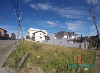Terreno comercial para alugar na Ito Ruschel Rauber, 267, Planalto, Caxias do Sul por R$ 3.000