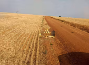 Fazenda à venda na Região entre Campinas/Capivari - SP