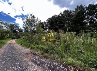 Terreno à venda na Granja Viana - Bolsão Fazendinha