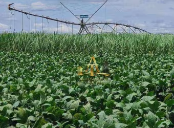 Fazenda à Venda na Região de Presidente Prudente/SP