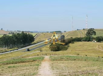 Fazenda de 45 Alqueires em Limeira – R$ A consultar