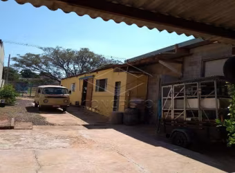 Comercial Galpão em Bauru