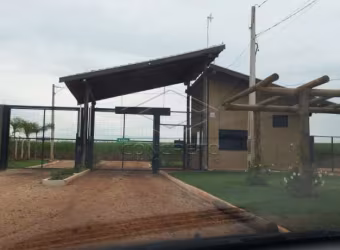 Terreno Padrão em Itaju