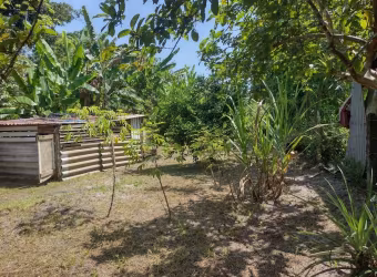 Chácara com 2 dormitórios à venda, 1820 m  por R  225.000,00 - Alexandra - Paranaguá PR
