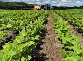 Rural com 1 dormitório à venda,10 Alqueires, centro, SAO MATEUS DO SUL - PR