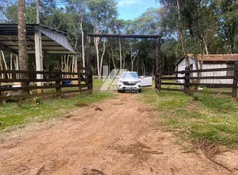 Chácara a venda em Ipiranga  com 10.248 m2