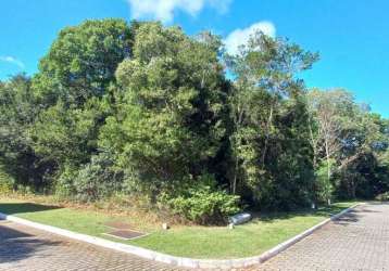 Terreno à venda no bairro campeche - florianópolis/sc