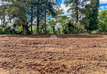 Terreno em condomínio fechado à venda na rua santa helena, 8, jardim são carlos, almirante tamandaré por r$ 65.000