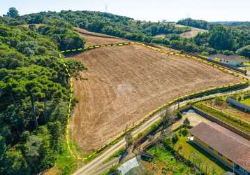 comprar Ferrari em Campo Magro - PR