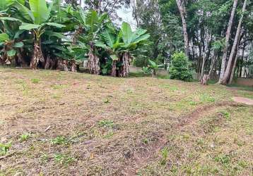 Terreno à venda na estrada da ribeira, 497, são dimas, colombo, 1369 m2 por r$ 450.000