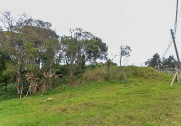 Chácara / sítio com 3 quartos à venda na rua amadeu santos, 502, planta laranjeiras, piraquara, 5000 m2 por r$ 650.000