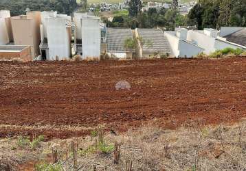 Terreno à venda na rua zeferina artuzi oltramari, 00, fraron, pato branco, 288 m2 por r$ 125.000