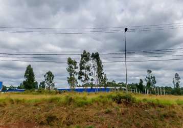 Terreno comercial à venda na rua horto florestal do cara-cara, 00, cará-cará, ponta grossa, 12000 m2 por r$ 4.200.000