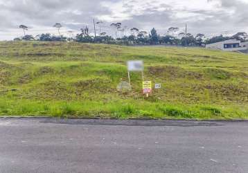 Terreno à venda na rua do quivi, 341, planta santa tereza, colombo por r$ 230.000