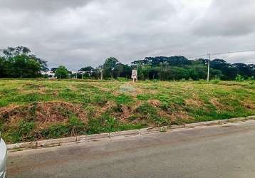 Terreno à venda na rua professora dolores taborda ribas, 001, rio pequeno, são josé dos pinhais, 591 m2 por r$ 340.000