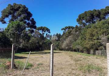 Terreno à venda na rua bromélias, 124, eucaliptos, fazenda rio grande, 2769 m2 por r$ 950.000