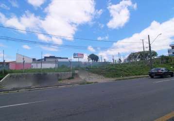 Terreno comercial para alugar na rua joão de brito, 50, cruzeiro, são josé dos pinhais, 1170 m2 por r$ 6.000