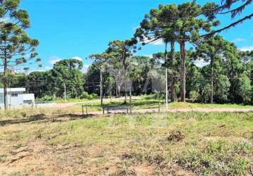 Terreno quatro barras perfeito para seu projeto próximo da natureza área de lazer bosque ecopark