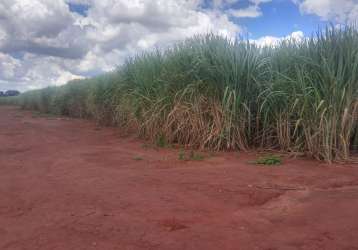 Fazenda de cana capivari