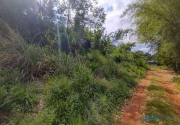 Terreno à venda, 2950 m² por r$ 250.000,00 - condomínio horizontal marajoara - ibiporã/pr