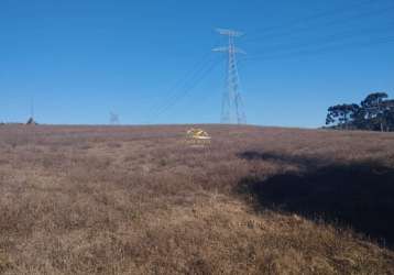 Chácara / sítio com 1 quarto à venda na estrada do felpudo, 1, felpudo, campo largo por r$ 4.500.000