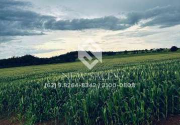 Fazenda na região de araguaína-to! 822 hectares! oportunidade de mercado