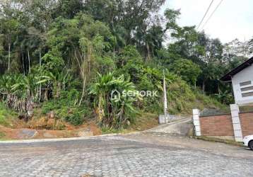 Terreno à venda, 58353 m² por r$ 80.000,00 - centro - benedito novo/sc